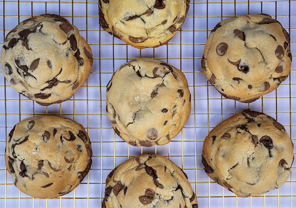 First Bite (Chocolate Chip Cookie)