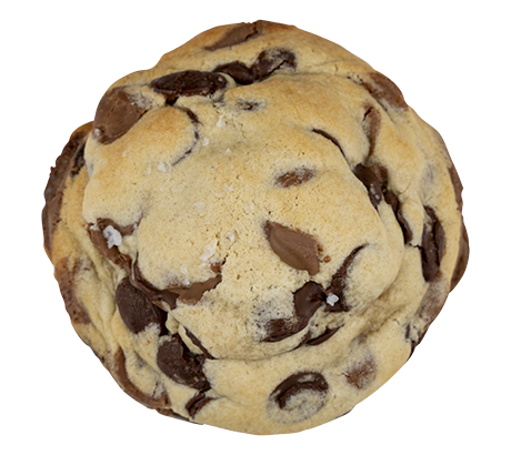 First Bite (Chocolate Chip Cookie)